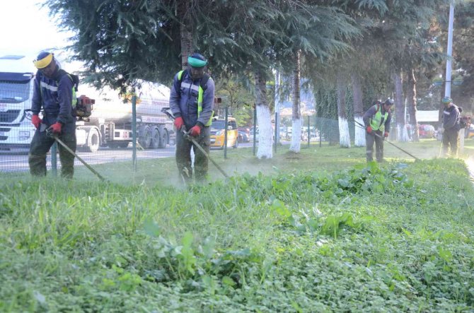 Başkan Tandoğan: “İ̇lçe Genelinde Çalışmalarımız Sürüyor”