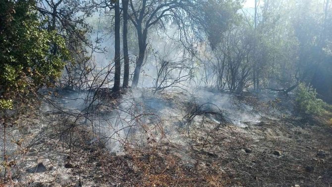 Temizlik Amaçlı Yakılan Çalılar Tehlikeye Davetiye Çıkardı