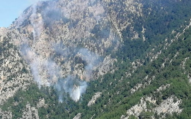 Osmaniye’de Orman Yangını