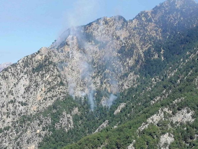 Osmaniye’de Orman Yangını