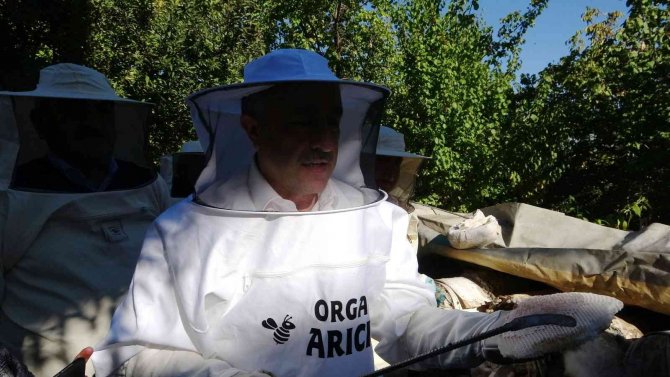 Van’da Davullu Zurnalı Bal Hasadı