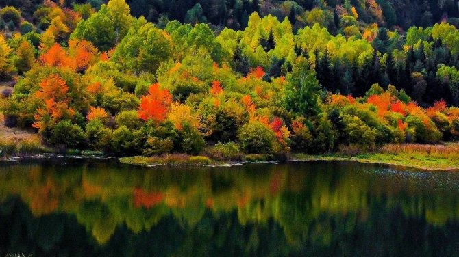 Ardahan’ın Posof İlçesine Sonbahar Çok Yakıştı