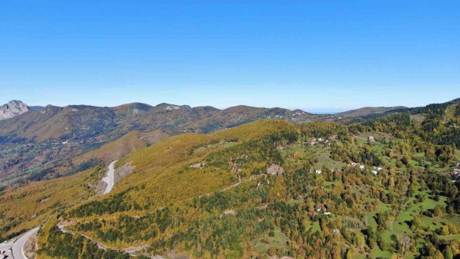 Küre Dağları’nda Sonbahar Manzarası: Renk Cümbüşü İle Hayran Bırakıyor