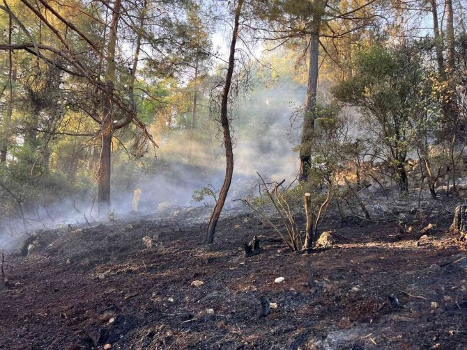 Bucak’ta Çıkan Orman Yangını Büyümeden Kontrol Altına Alındı