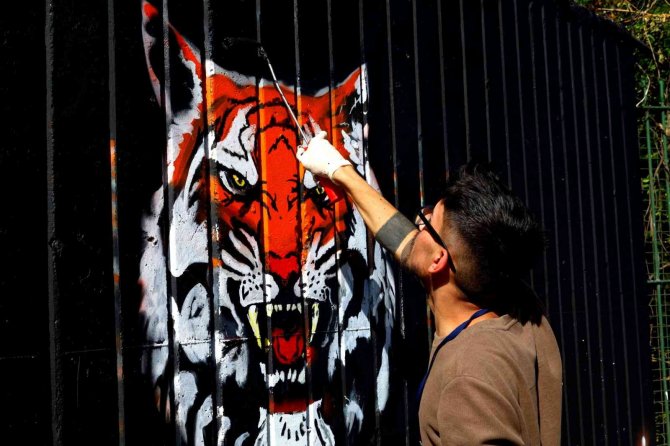 Bursa’da Duvarları Tuvale Dönüştüren Şenlik