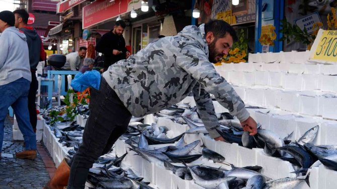 Yer Gök Palamut: Tanesi 100 Tl’den Satılıyordu Bugün 3 Tanesi 100 Tl