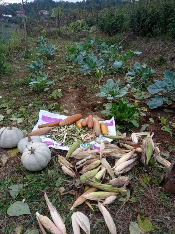Hobi Bahçesinin Mahsullerini Öğrenciler Topladı