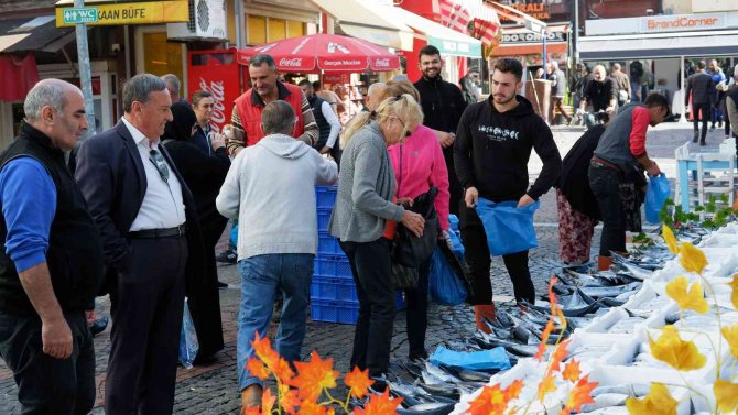 Yer Gök Palamut: Tanesi 100 Tl’den Satılıyordu Bugün 3 Tanesi 100 Tl