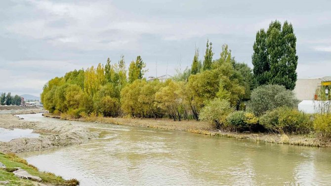 Sonbaharın Sarı Rengi Büyüledi