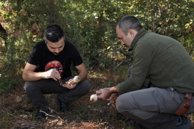 Türkiye’nin Mantar Avcıları Bursa’da Buluştu