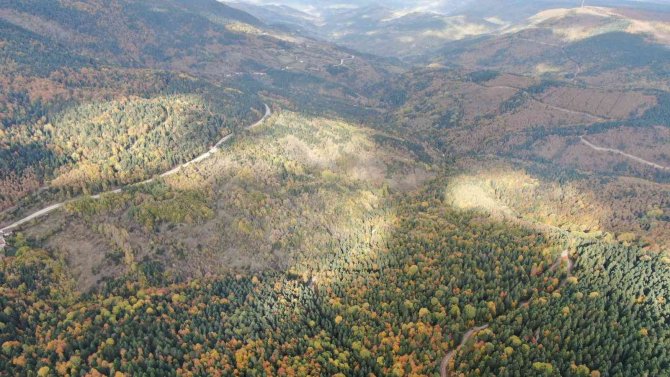 Karabük’teki Türkiye’nin En Büyük Blok Ormanlarında Sonbahar Renkleri Hakim Oluyor