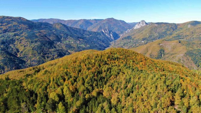 Küre Dağları’nda Sonbahar Manzarası: Renk Cümbüşü İle Hayran Bırakıyor