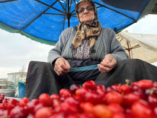 Şifa Deposu Tezgahtaki Yerini Aldı