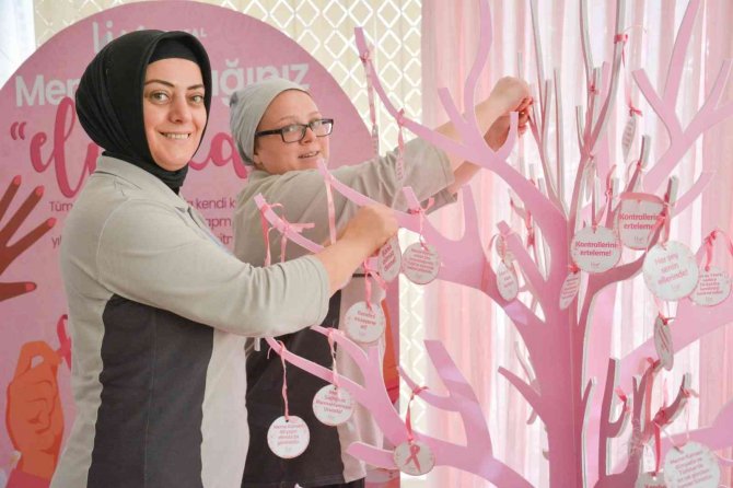 Erken Tanı Sayesinde Meme Kanserinden Ölümler Azaldı