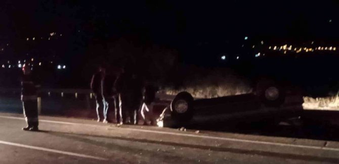 Yola Çıkan Domuz Sürüsü Kazaya Neden Oldu