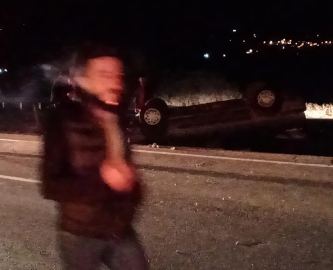 Yola Çıkan Domuz Sürüsü Kazaya Neden Oldu