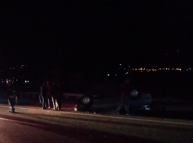 Yola Çıkan Domuz Sürüsü Kazaya Neden Oldu