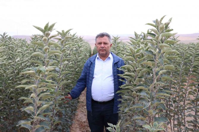 Türkiye’nin Elma Fidanları Niğde’den Gidiyor