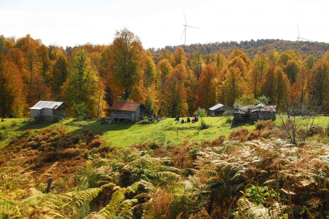 Sonbahar Tonları Arasında Unutulmaz Deneyim Yaşadılar