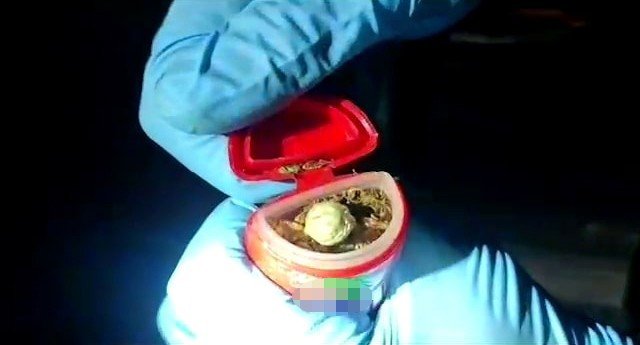 Yatağın Altından Yorgan Yerine Bakın Ne Çıktı