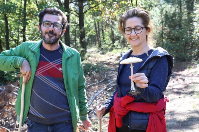 Türkiye’nin Mantar Avcıları Bursa’da Buluştu