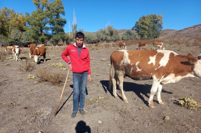 Hem Çobanlık Yapıyor Hem De Hayali İçin Ders Çalışıyor