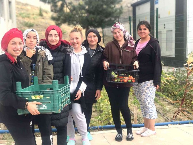 Yurt Öğrencileri Turşu Yapımını Geleneksel Hale Getirdi