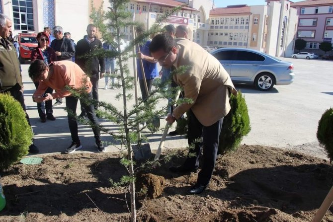 Kaymakam Öğrencilerle Birlikte Ağaç Dikti