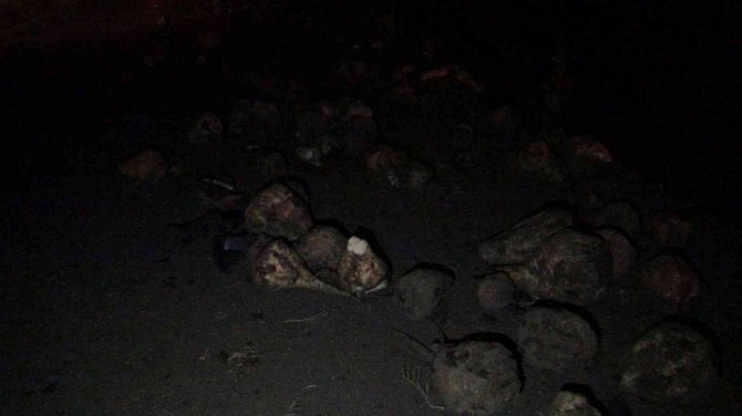 Tırın Kamyona Çarptığı Kazada 1 Kişi Yaralandı
