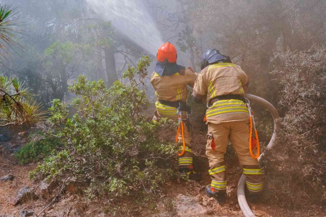 Akkuyu Ngs’de Acil Durum Birimleri İçin Eğitim Seminerleri Düzenlendi