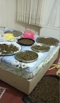 Beykoz’da Mahallede Yayılan Kokunun İzini Süren Polis, 7 Kilo Uyuşturucu Buldu
