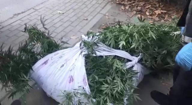 Bursa’da Kenevir Tarlasına Dönen Eve Baskın
