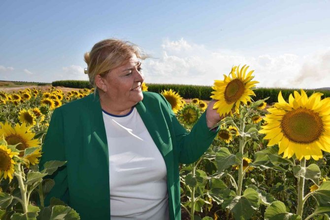 Başkan Erdem’den Yatırımcılara Çağrı: "Tarım İçin Ceyhan’ı Seçin"