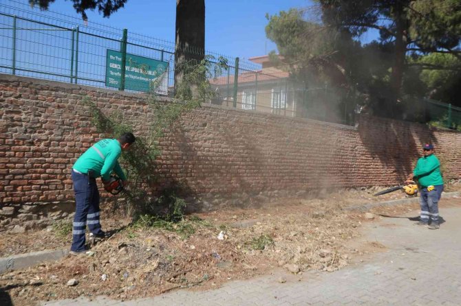 Efeler’de Yabani Ot Temizliği