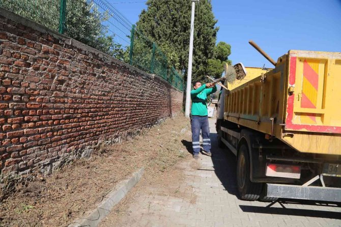 Efeler’de Yabani Ot Temizliği