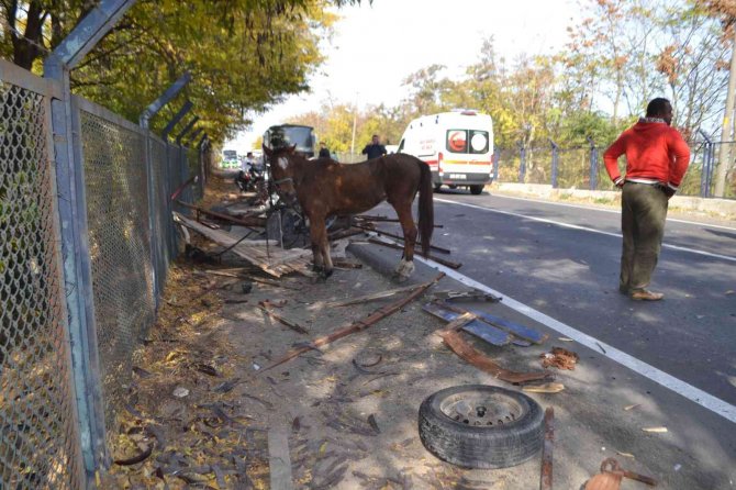 Çorlu’da Can Pazarı: Otomobilin Çarptığı At Arabası Hurdaya Döndü, Yaralı Yakınları Sinir Krizi Geçirdi