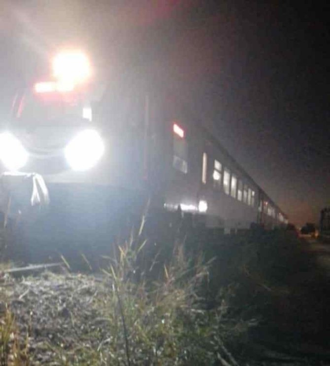 Alaşehir’de Tren Raylarına Ağaç Devrildi