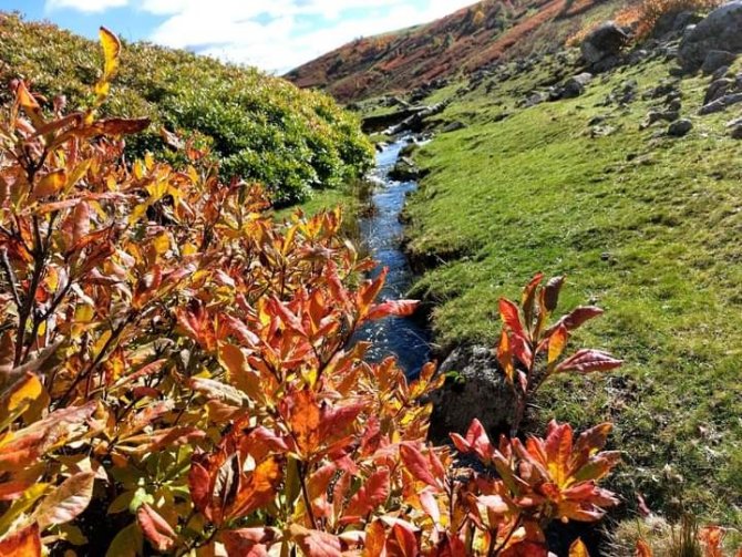 Ordu Yaylalarında Sonbahar Güzelliği
