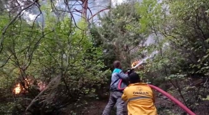 Osmaniye’deki Orman Yangınına Karadan Müdahale Başladı