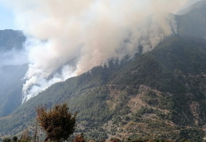 Osmaniye’deki Orman Yangını 3’ncü Gününde Büyüyerek Devam Ediyor