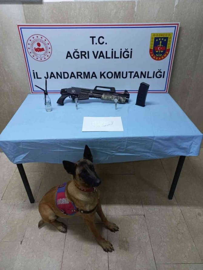 Ağrı’da 15 Kilo Esrar Ele Geçirildi