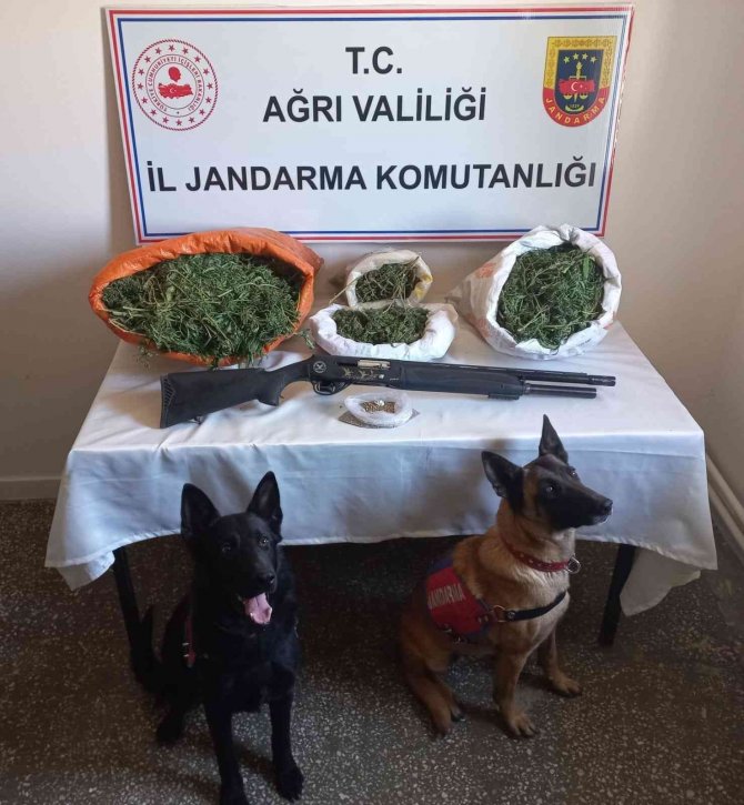 Ağrı’da 15 Kilo Esrar Ele Geçirildi