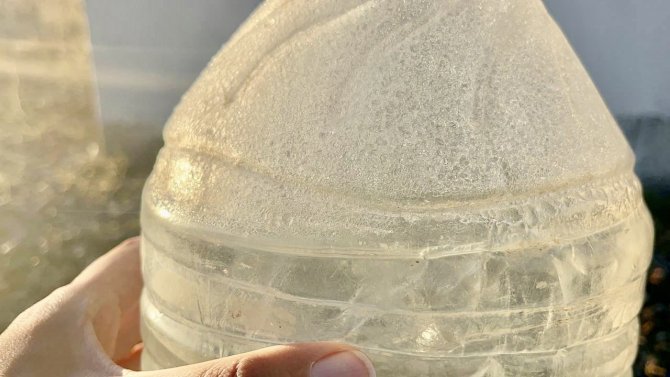 Ağrı Dondu, Her Yer Buz Tuttu