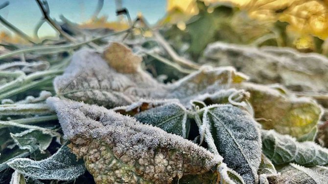 Ağrı Dondu, Her Yer Buz Tuttu