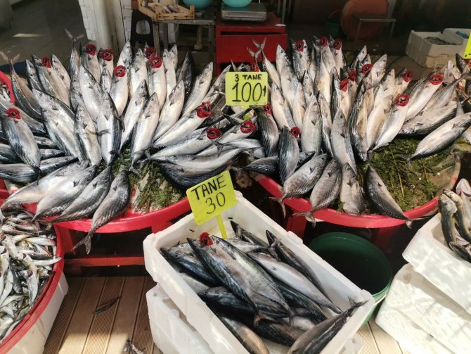 Büyük Balık, Yerini Küçük Balığa Bırakıyor