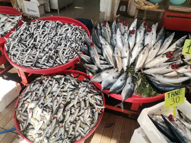 Büyük Balık, Yerini Küçük Balığa Bırakıyor