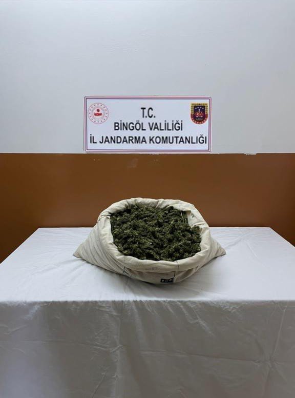 Bingöl’de Narkoterör Operasyonu: 32 Bin Kök Kenevir Ele Geçirildi