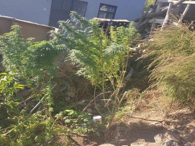 Bingöl’de İki Adrese Yapılan Operasyonda Uyuşturucu Ele Geçirildi