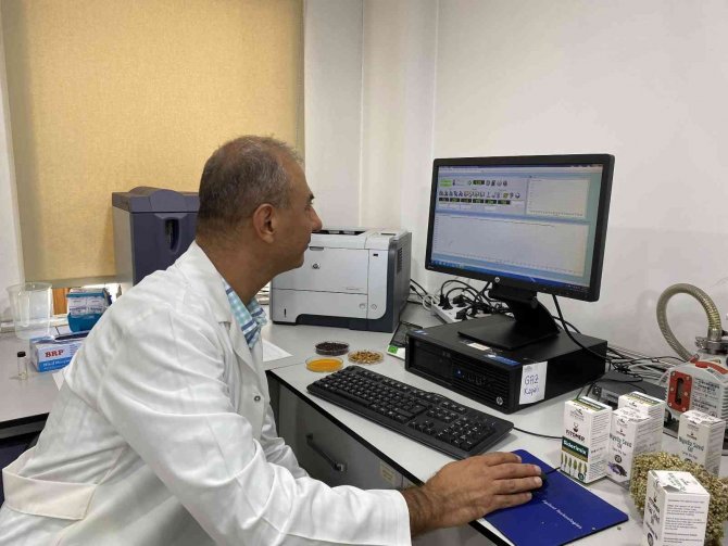 Türkiye’nin İlk Fitoterapi Merkezi: Hem Üretime Katkı Sağlıyor Hem Şifa Dağıtıyor