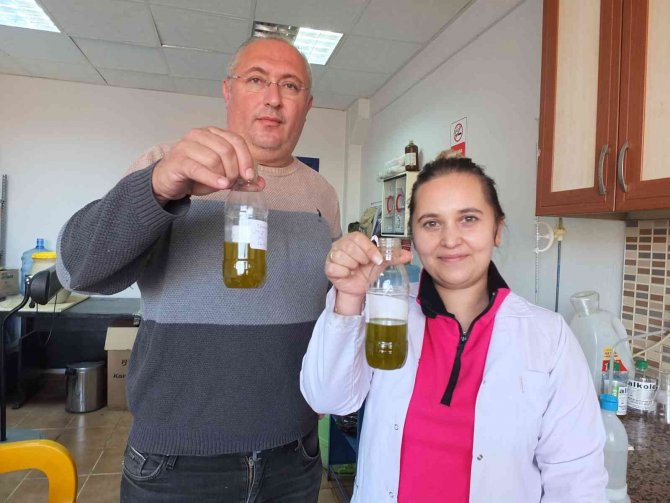 Balıkesir’de Üreticiler Zeytinyağı Fiyatının Açıklanmasını Bekliyor